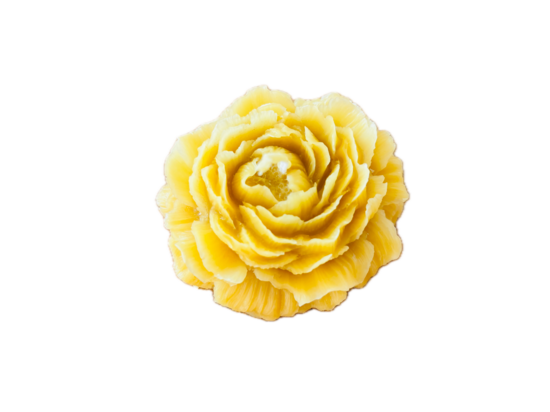 JAUNUMS! Bišu vaska svece "Peonija"